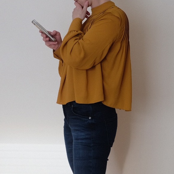 Aritzia Babaton Babydoll Blouse with pleats - caramel - Picture 2 of 12